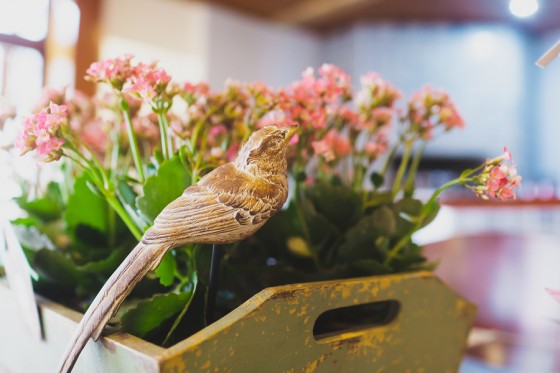 Aniversario_tema_passarinho 07