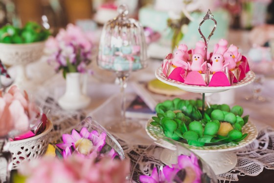 Aniversario_tema_passarinho 11