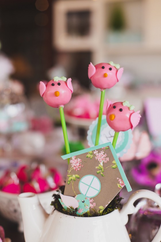 Aniversario_tema_passarinho 12