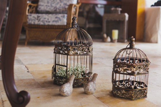 Aniversario_tema_passarinho 17