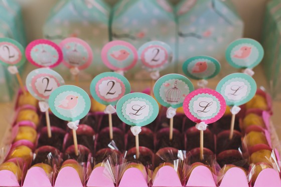 Aniversario_tema_passarinho 18