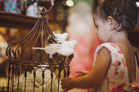 Aniversario_tema_passarinho 22