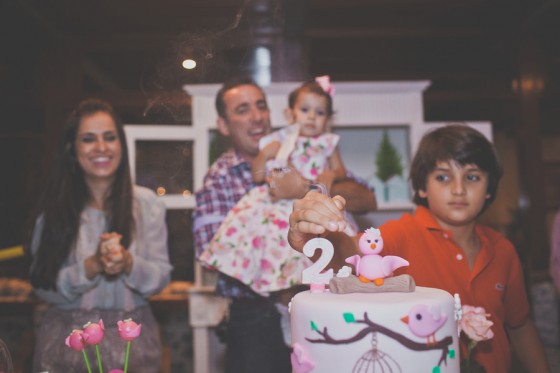 Aniversario_tema_passarinho 24