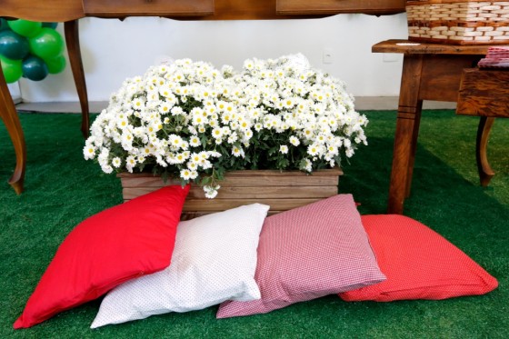 Festa_Infantil_Chapeuzinho-Vermelho_05