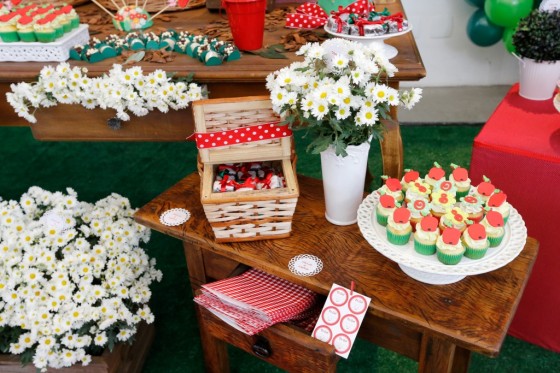 Festa_Infantil_Chapeuzinho-Vermelho_06