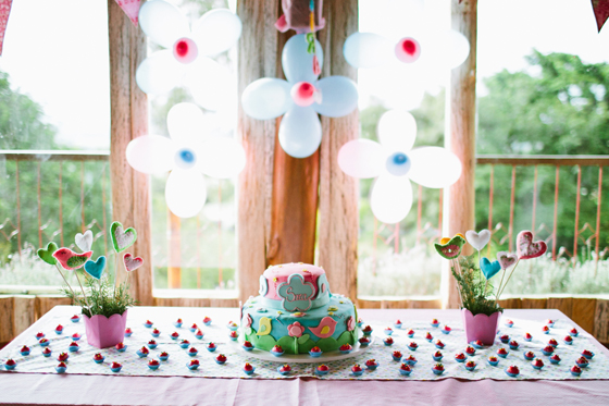 LuciaBraga_FestaInfantil_Passarinho_01