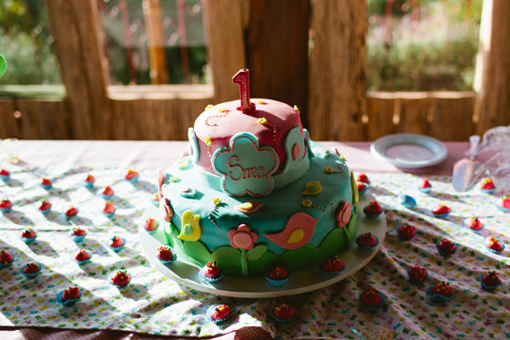 LuciaBraga_FestaInfantil_Passarinho_16