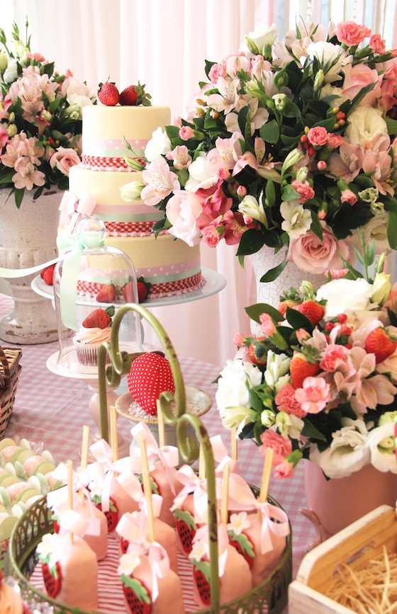 FabianaMoura-FestaMoranguinhoVintage_02